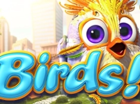 Birds!