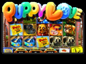 Puppy Love PLUS