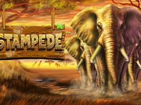 Stampede