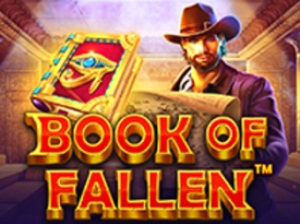 Book of Fallen™
